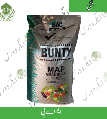 Bunty MAP